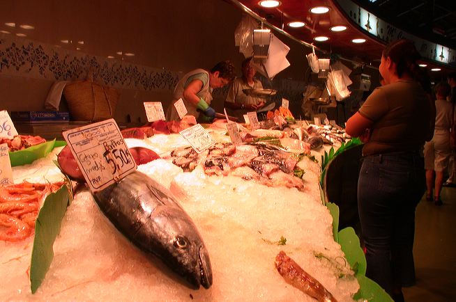 dscn6912.jpg