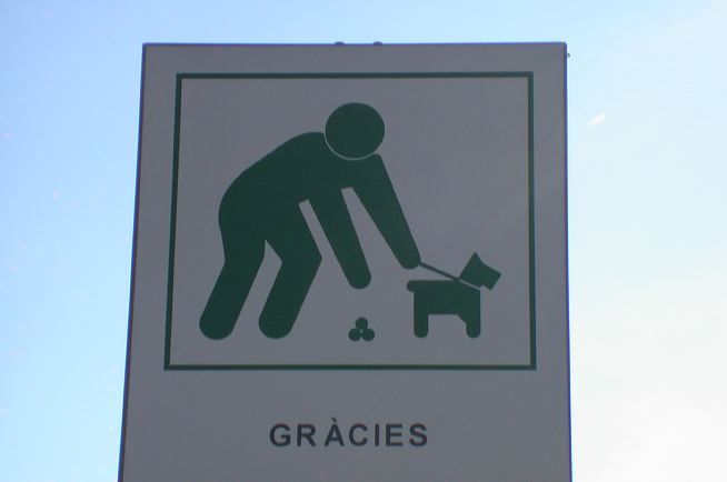 dscn7061.jpg