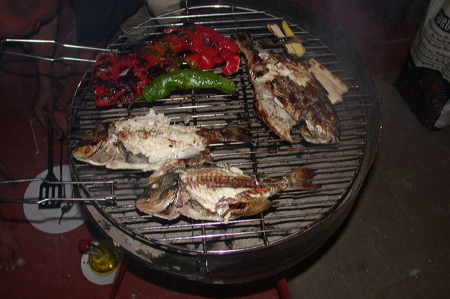 dscn7166.jpg