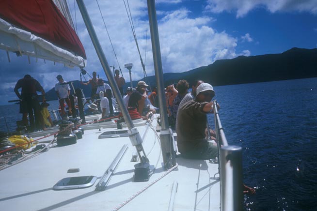 rtw982804