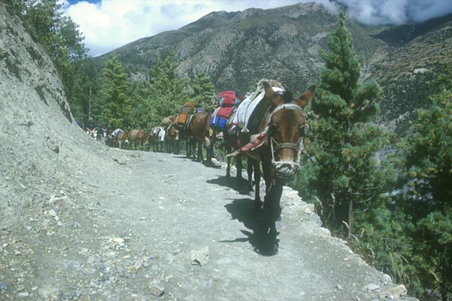 rtw980842
