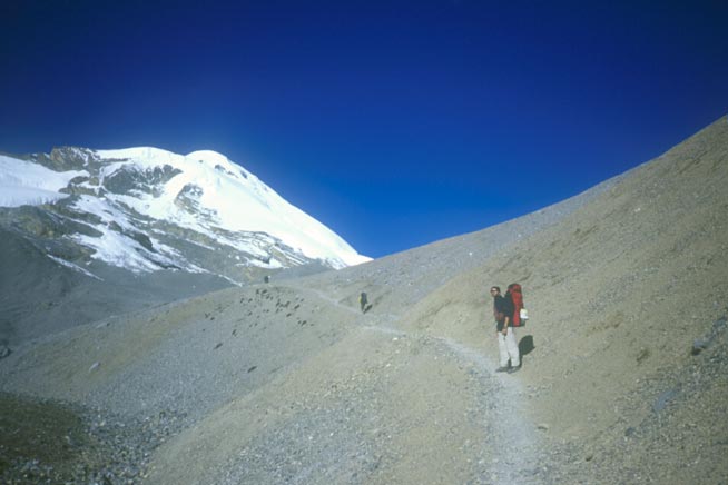 rtw980954