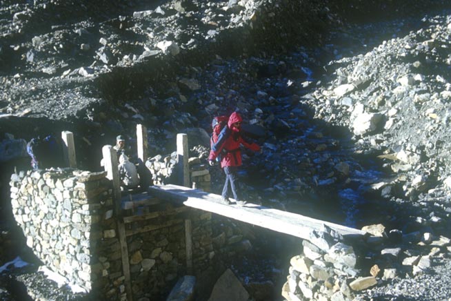 rtw980955