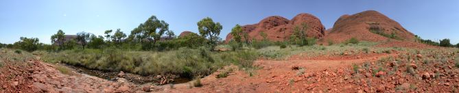 olgas_7