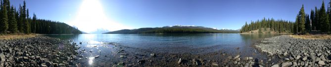 jasper_np_7