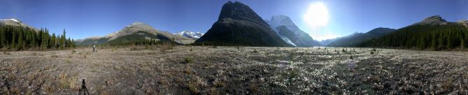 mt_robson_8